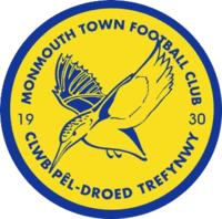 This is the Monmouth Town F.C. crest. The name of the club in English, "Monmouth Town Football Club", is on the top of the circle, an image of the Kingfisher in the middle with the numbers 19 and 30 on either side of the bird. The name of the club in Welsh, "Clwb Pêl-Droed Trefynwy", adorns the bottom of the circle.