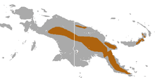 New Guinea highlands