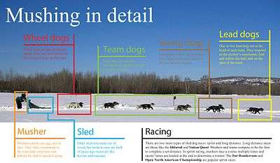 Photo graphic depicting the elements of a sled dog team