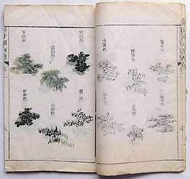 Photograph of pages from book depicting instructions for drawving leaves