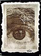 Image of subject's eye made using his own hair