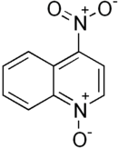 Structural formula of  4-nitroquinoline 1-oxide