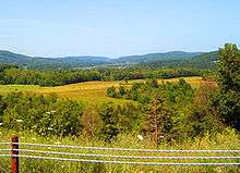 In the foreground is a small cluster of trees that has built up alongside NY&nbsp;22. Beyond those is a large cultivated field; even farther out is a dense forest. In the distance is an area of lowlands surrounded by forests and bisected by a narrow, winding waterway. Two large mountain ranges are barely visible in the far-off distance.