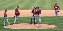 Men wearing red baseball jerseys, gray pants, and black caps are standing on a baseball diamond near the pitcher's mound; some are talking together.