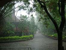 Film archives Pune on a rainy day in June