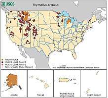 U.S. map of grayling range