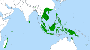 Map showing Nepenthes distribution around the Indian Ocean