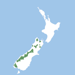 Scattered populations across the South Island