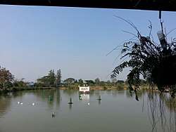 Pond at tambon Nong Din Daeng
