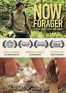 Now Forager theatrical film poster