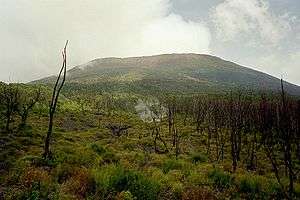 A picture of a mountain landscape with trunks of trees or shrubs that appear to have burned.