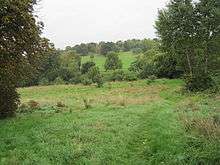 Oak Hill Wood meadow with Oak Hill Park in the distance