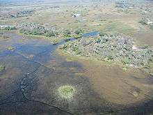 Areal view of Okavango Delta