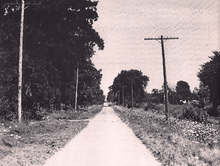 A narrow country road protrudes into the distance, surrounded by trees and farmland on either side.