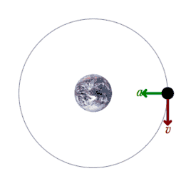 animation of orbital velocity and centripetal acceleration