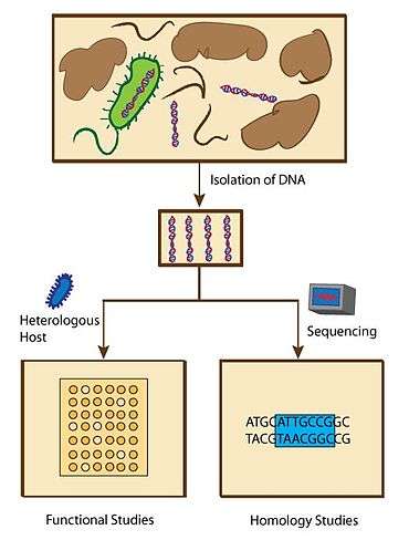 Overview of metagenomic methods
