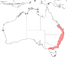 Eastern coast of Australia