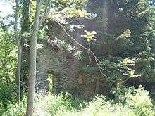 A ruined two-story fieldstone wall with a doorway and window holes surrounded by forest