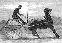 A carriage pulled by a horse that opens his mouth wide and seems to have frozen in place