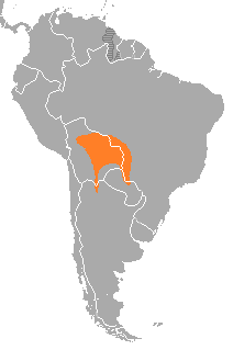 Southeastern Bolivia stretching over into Brazil