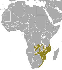 Southeast Africa