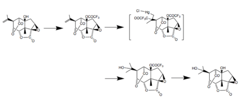 The synthesis of picrotin from picrotoxinin