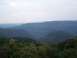 Forested green mountains viewed from a mountaintop.