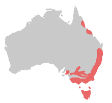 Tasmania and the coast of New South Wales, Victoria, and mid-Queensland