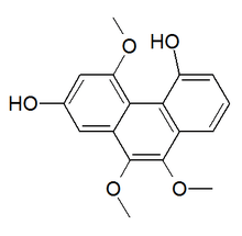Chemical structure of plicatol A