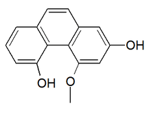 Chemical structure of plicatol B