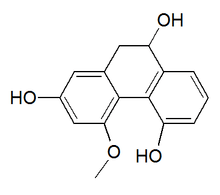 Chemical structure of plicatol C