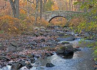 A forest with a small river flowing beneath an arched stone bridge
