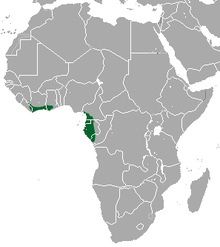 Gulf of Guinea coast
