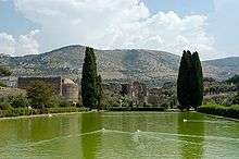 Man-made pond with ducks swimming and hills in the background