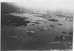 An aerial view of a harbor with several ships lying in the middle of it. Two large battleships are in the center of the bay while several smaller vessels surround them.
