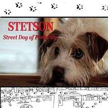 Poster art for the film Stetson, Street Dog of Park City