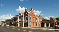 Pulaski Village Historic District