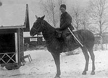 A Red Guard cavalry commander is pictured on top of his horse from the left side during the winter. A few cottage-like houses are in the background and the commander is equipped with a white sword scabbard, clearly visible from the rest of his clothing.