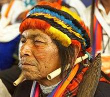 Shamans usually use icaros to heal with the power of music.