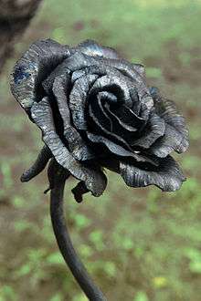 A Black Rose as Symbol of Ireland