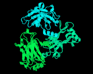 Black background with complex ribbon diagram of a protein, colored blue on top, green on bottom.