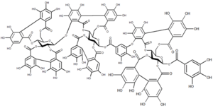 Chemical structure of raspberry ellagitannin