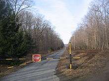 A gate made out of metal pipe with a STOP sign blocks a narrow blacktop road, which stretches off in a straight line into the distance between trees.