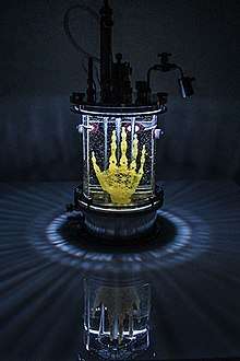 "REGENERATIVE RELIQUARY" by Amy Karle, 2016 bioart sculpture of hand design 3D printed / bioprinted on microscopic level in trabecular structure out of pegda hydrogel to create scaffold for human MSC stem cell culture into bone.
