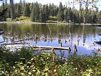 A small calm lake reflects the forest that surrounds it.