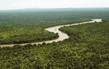 A bird's eye view of a river running through a forested plain.