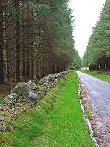 A road running through Durris Forest with an old field wall alongside