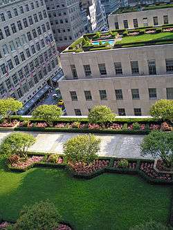 Roof gardens atop Rockefeller Plaza buildings