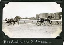 Rosalind leading two other horses at the finish line
