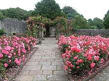 garden with central path and rose beds
